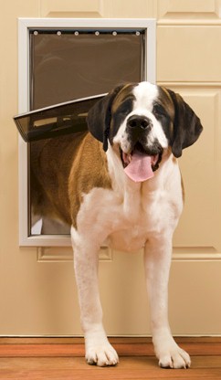 PetSafe Freedom Pet Door - Medium