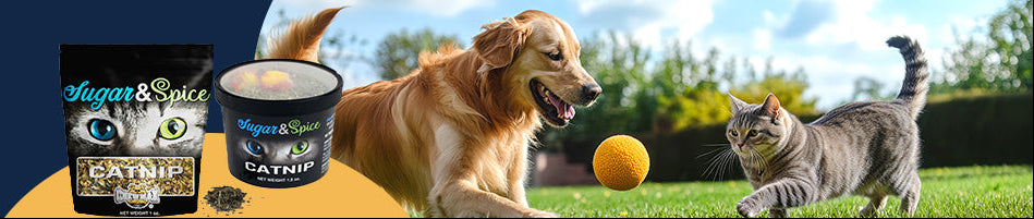 image--template--25199737274649__image_zLYiYa