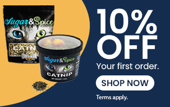 image--template--25199737274649__image_zLYiYa