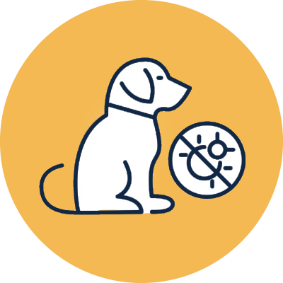 image-slider--image_RGeDdc--2