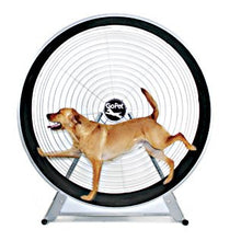 GoPet TreadWheel For Small Dogs
