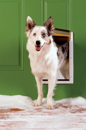 PetSafe Extreme Weather Pet Door - Small