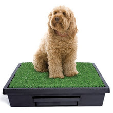 Pet Loo Potty Training System - Medium