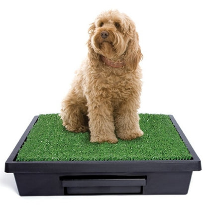 Pet Loo Potty Training System - Medium