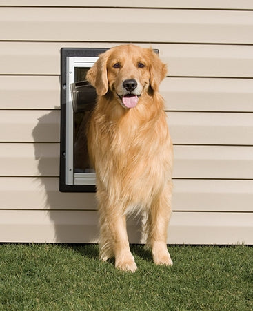 PetSafe Wall Dog Door - Small