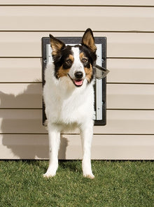 PetSafe Wall Dog Door - Small